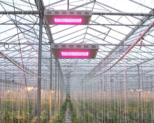 ENELTEC ir al mercado de iluminación LED para agricultura